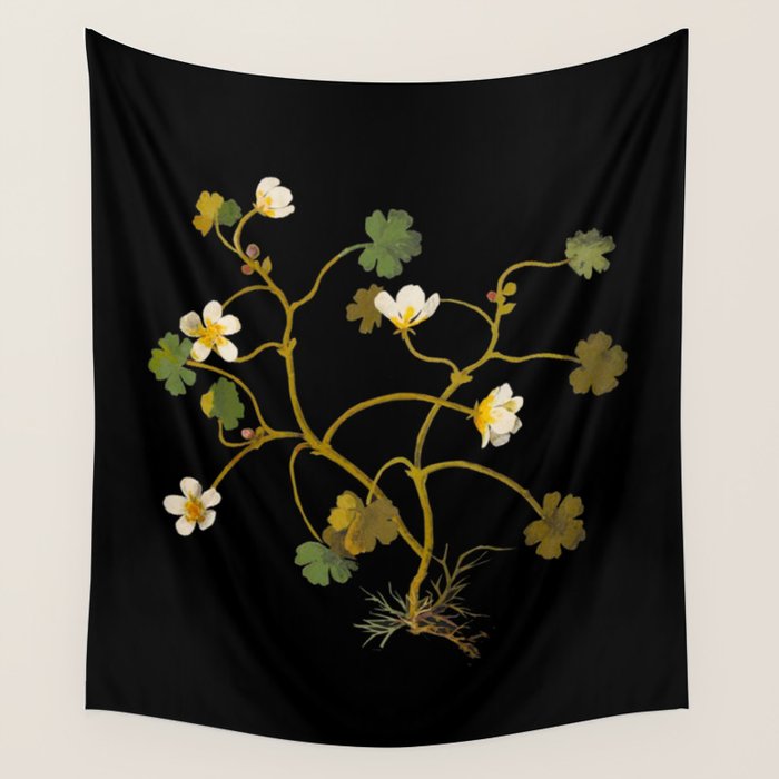 Ranunculus Aquaticus (Polyandria Polygynia) by Mary Delany Paper Collage Floral Flower Botanical Paper Mosaic Vintage Scientific Plant Anatomy Wall Tapestry Gallery Image 1