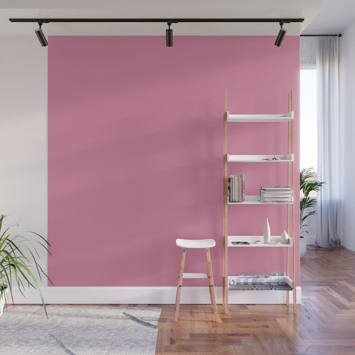Bubble Gum Pink Solid Color Wall Mural Gallery Image 1