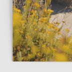 McWay Falls Poster Gallery Image 3