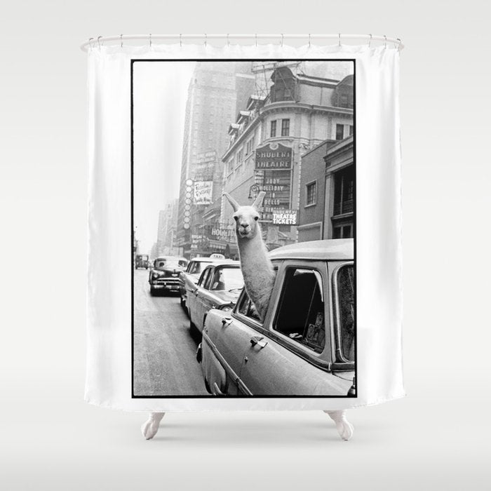  llama in times square print - a llama in times square-Llama Riding in Taxi, Black and White Vintage Shower Curtain Gallery Image 1