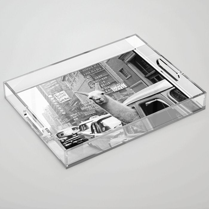  llama in times square print - a llama in times square-Llama Riding in Taxi, Black and White Vintage Acrylic Tray Gallery Image 1