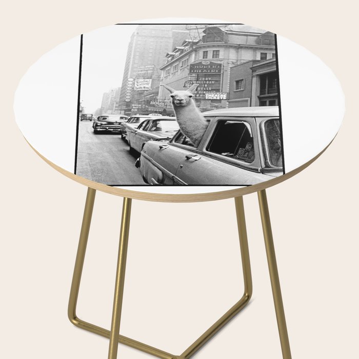  llama in times square print - a llama in times square-Llama Riding in Taxi, Black and White Vintage Side Table Gallery Image 2
