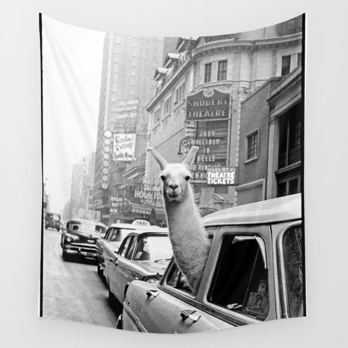 llama in times square print - a llama in times square-Llama Riding in Taxi, Black and White Vintage Wall Tapestry Gallery Image 4