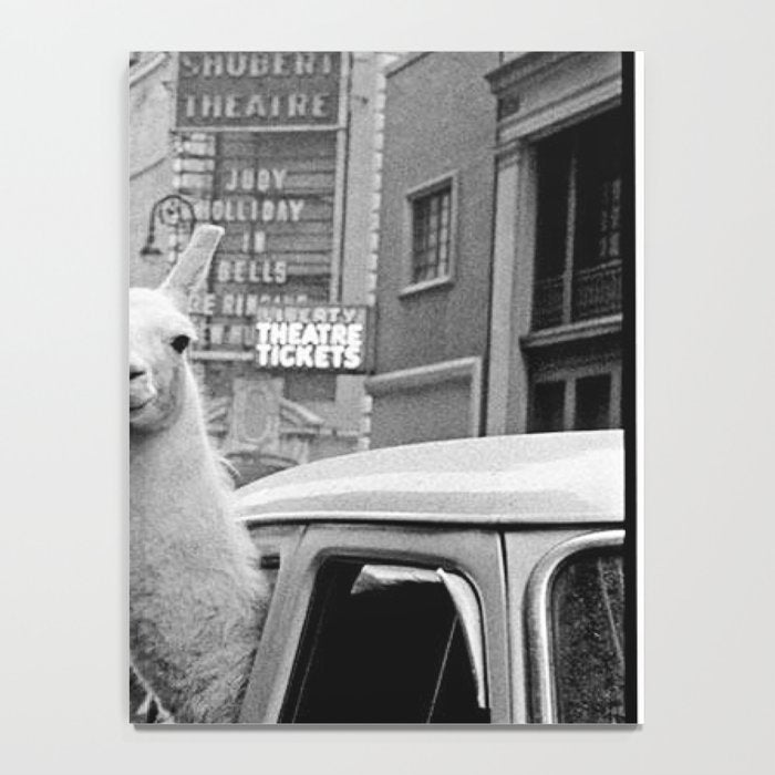  llama in times square print - a llama in times square-Llama Riding in Taxi, Black and White Vintage Notebook Gallery Image 4