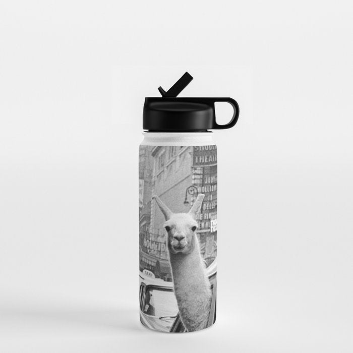  llama in times square print - a llama in times square-Llama Riding in Taxi, Black and White Vintage Water Bottle Gallery Image 1