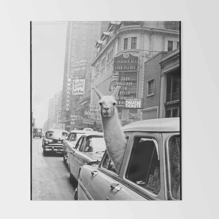  llama in times square print - a llama in times square-Llama Riding in Taxi, Black and White Vintage Throw Blanket Gallery Image 2