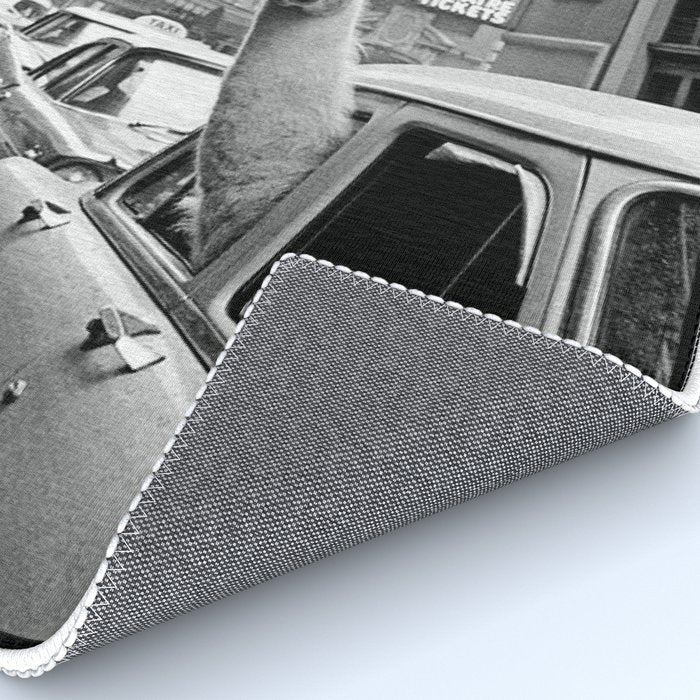  llama in times square print - a llama in times square-Llama Riding in Taxi, Black and White Vintage Rug Gallery Image 4