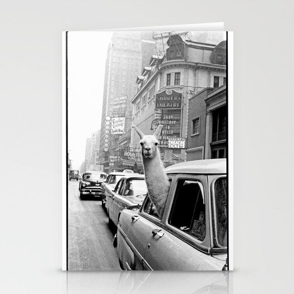  llama in times square print - a llama in times square-Llama Riding in Taxi, Black and White Vintage Stationery Card Gallery Image 2