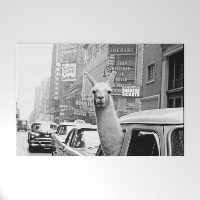  llama in times square print - a llama in times square-Llama Riding in Taxi, Black and White Vintage Welcome Mat Gallery Image 1