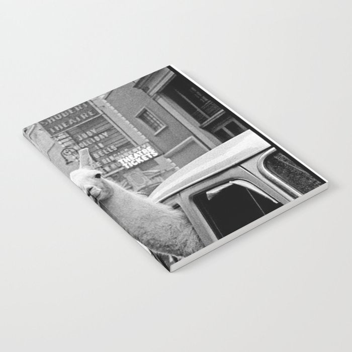  llama in times square print - a llama in times square-Llama Riding in Taxi, Black and White Vintage Notebook Gallery Image 1