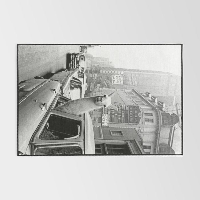  llama in times square print - a llama in times square-Llama Riding in Taxi, Black and White Vintage Rug Gallery Image 2