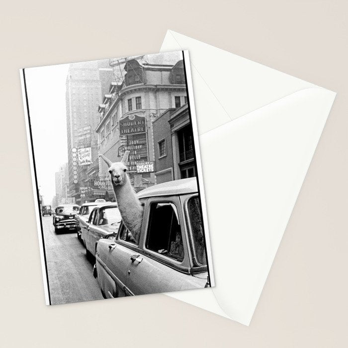  llama in times square print - a llama in times square-Llama Riding in Taxi, Black and White Vintage Stationery Card Gallery Image 2