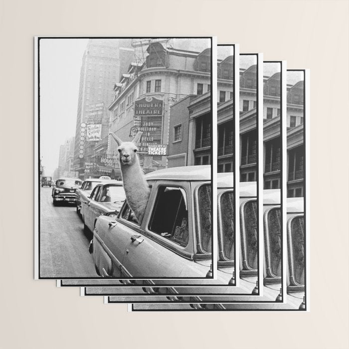  llama in times square print - a llama in times square-Llama Riding in Taxi, Black and White Vintage Wrapping Paper Gallery Image 3