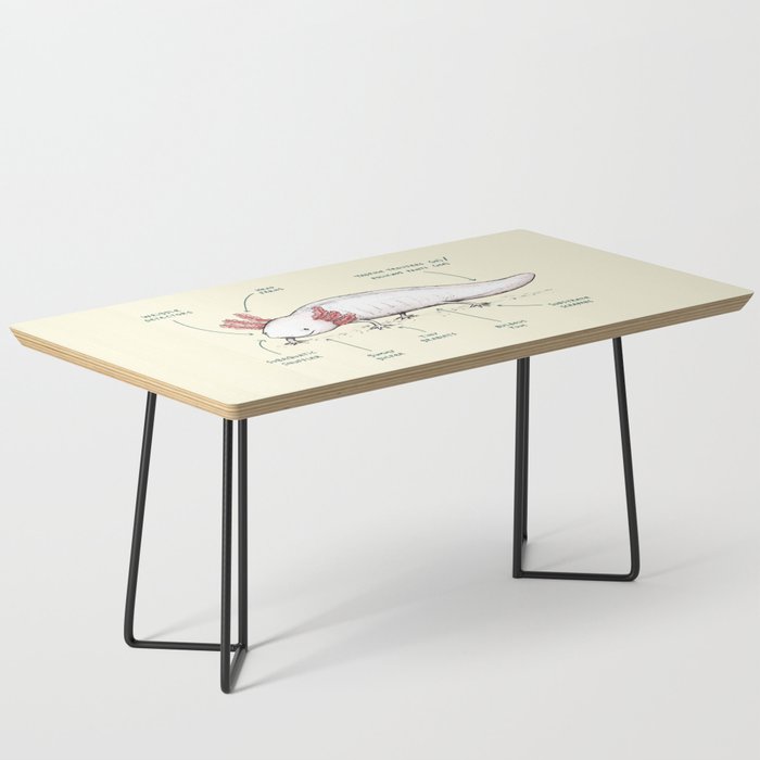 Anatomy of an Axolotl Coffee Table Gallery Image 1