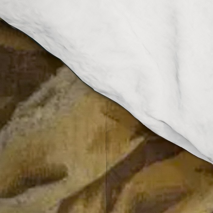 Antique 18th Century French Aubusson Cleopatra Banquet Tapestry  Comforter Gallery Image 4