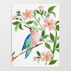 Hummingbird Poster Gallery Image 4