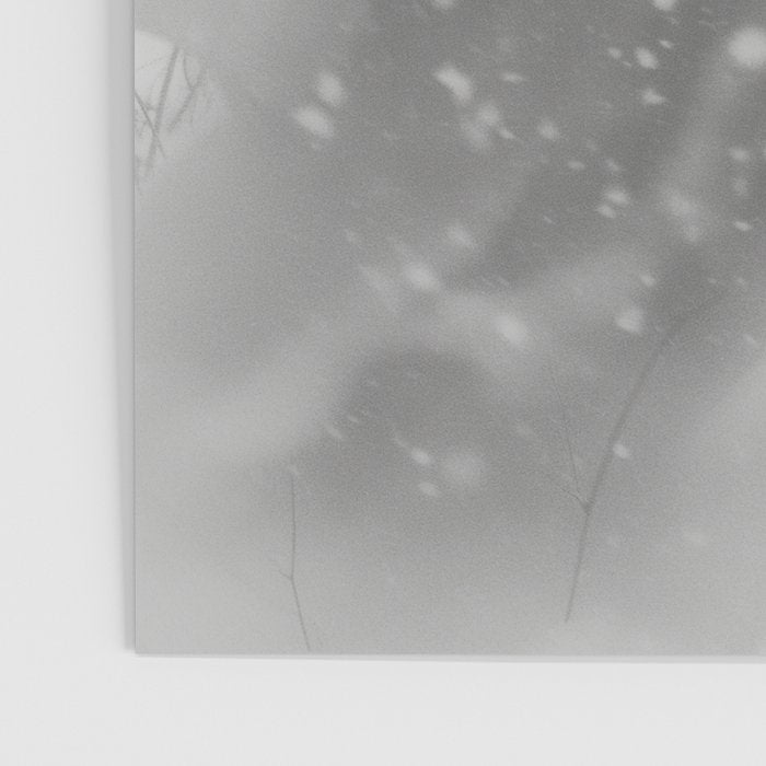 Snowfight Poster Gallery Image 3