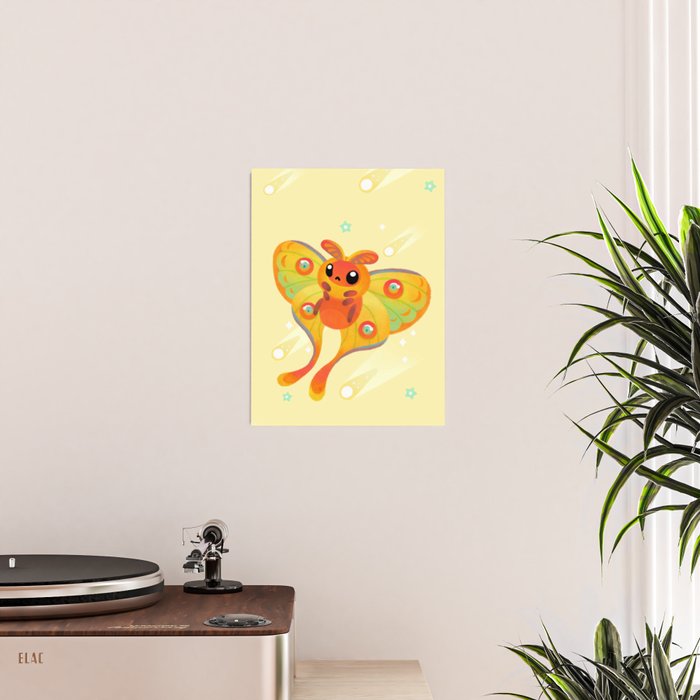 Comet Moth Poster Gallery Image 2