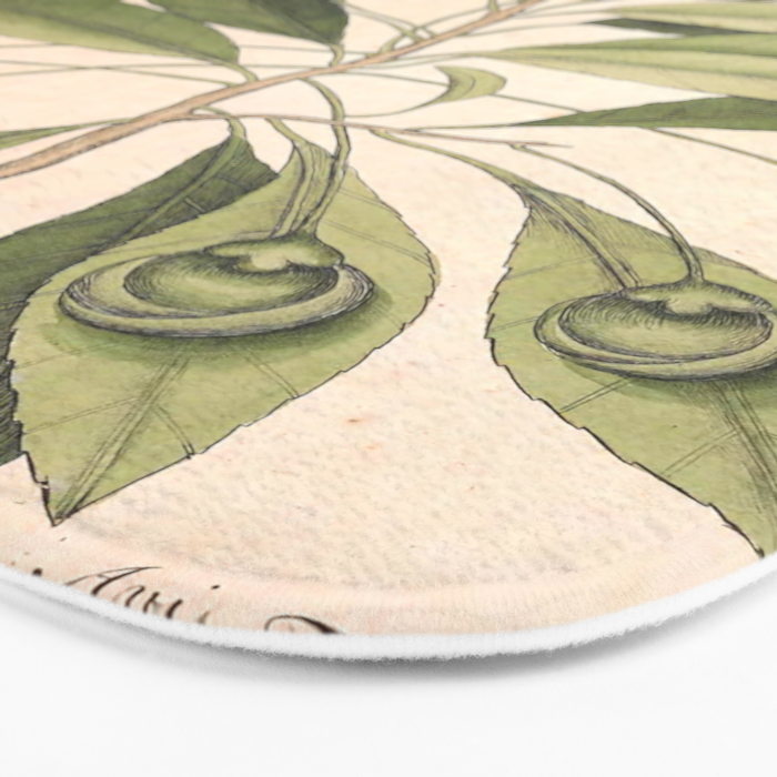 Painted bunting by Mark Catesby, 1729-1731 (benefitting The Nature Conservancy) Bath Mat Gallery Image 3