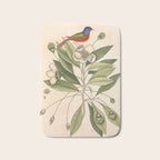 Painted bunting by Mark Catesby, 1729-1731 (benefitting The Nature Conservancy) Bath Mat Gallery Image 1