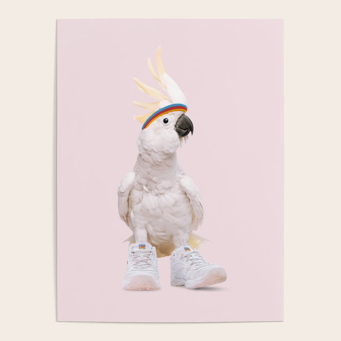 SNEAKER COCKATOO Poster Gallery Image 4