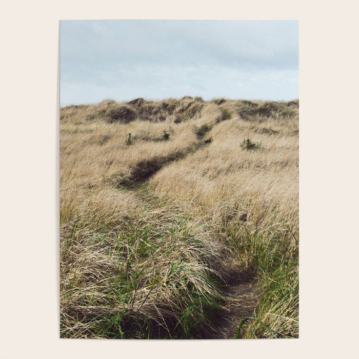 Oregon Dune Grass Adventure - Nature Photography Poster Gallery Image 4