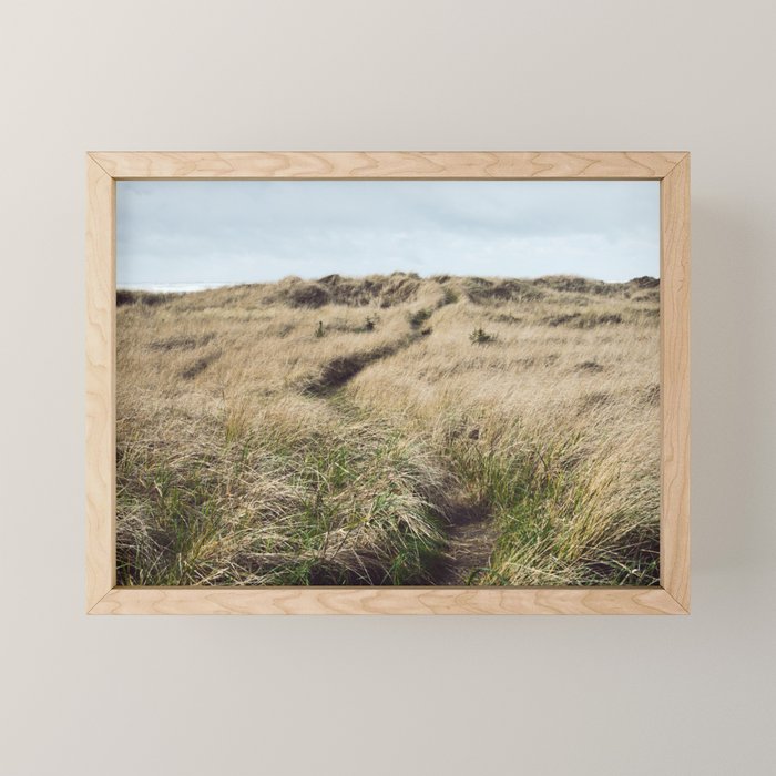 Oregon Dune Grass Adventure - Nature Photography Mini Art Print Gallery Image 1