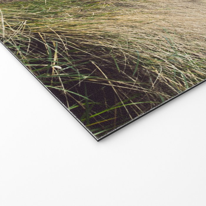 Oregon Dune Grass Adventure - Nature Photography Welcome Mat Gallery Image 2