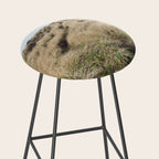 Oregon Dune Grass Adventure - Nature Photography Stool Gallery Image 2