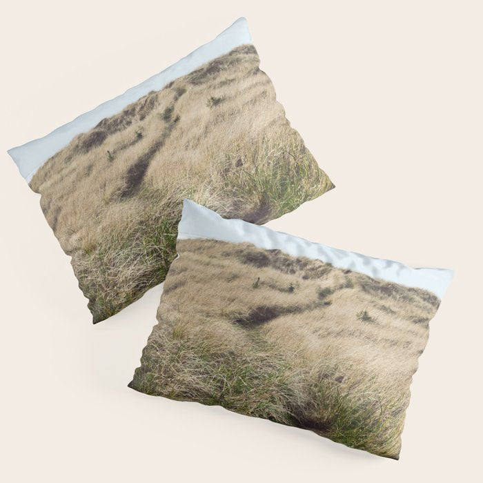 Oregon Dune Grass Adventure - Nature Photography Pillow Sham Gallery Image 3