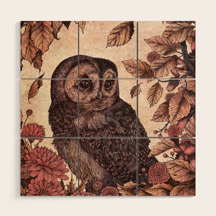 Tawny Owl Pink Wood Wall Art Gallery Image 1
