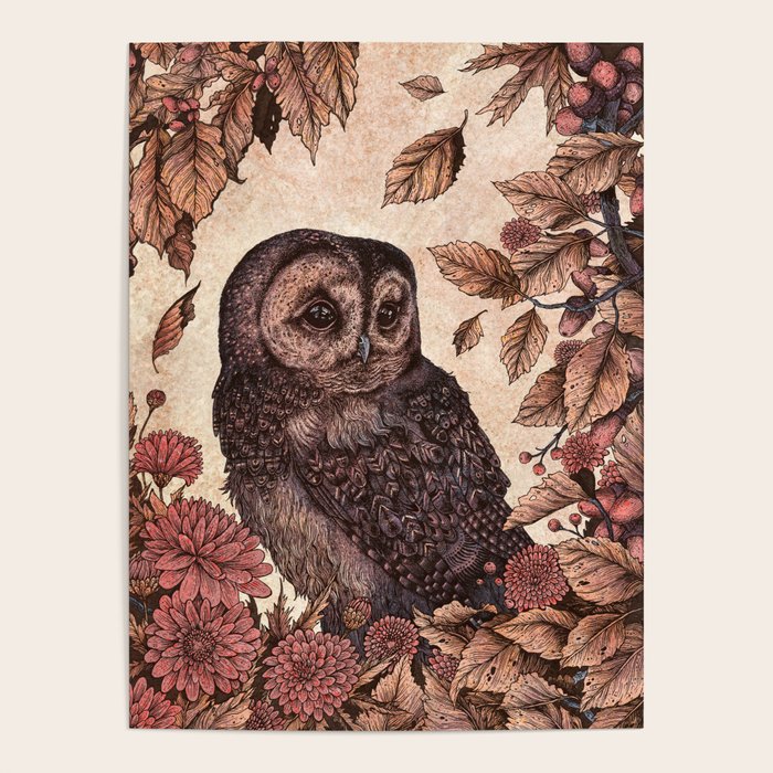 Tawny Owl Pink Poster Gallery Image 4