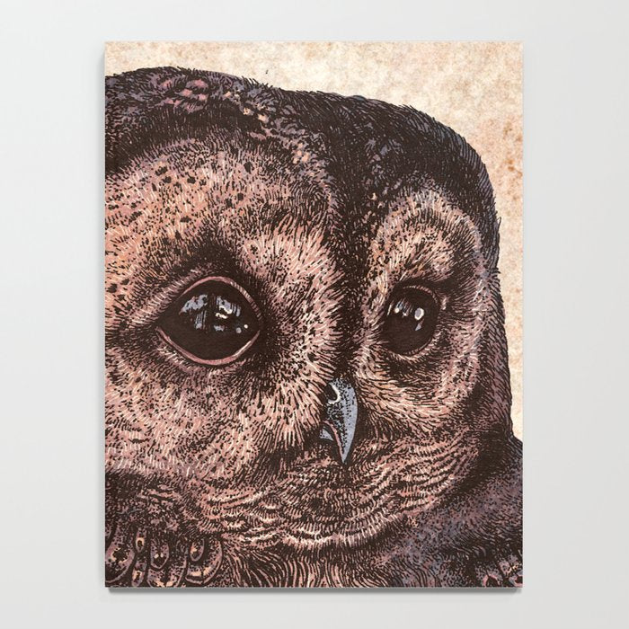 Tawny Owl Pink Notebook Gallery Image 4