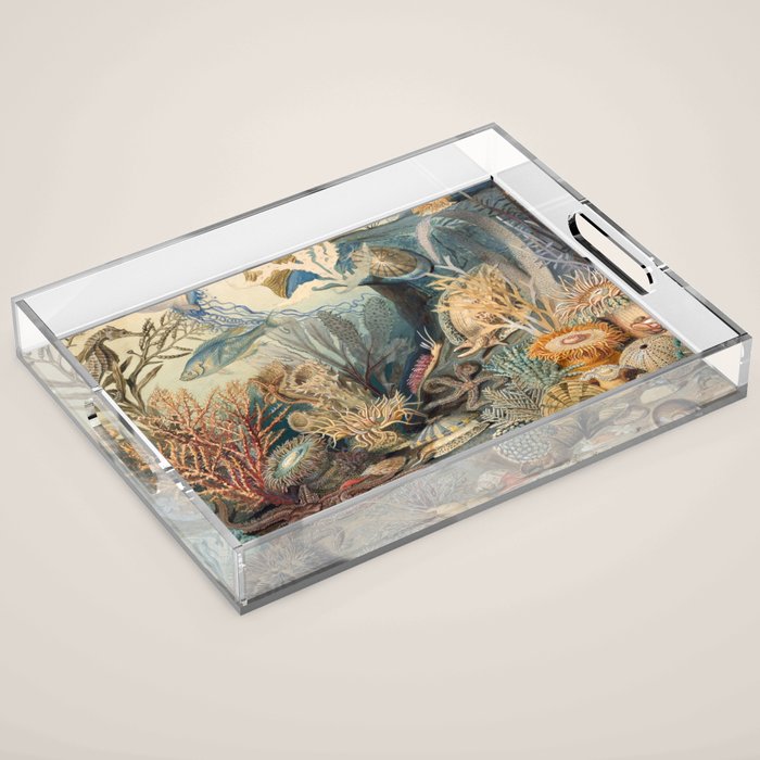 Ocean Life by James M Sommerville 1859 Funky Quirky Cute Cozy Boho Maximalism Maximalist Acrylic Tray Gallery Image 1