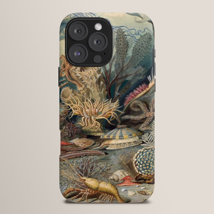 Ocean Life by James M Sommerville 1859 Funky Quirky Cute Cozy Boho Maximalism Maximalist iPhone Case Gallery Image 16