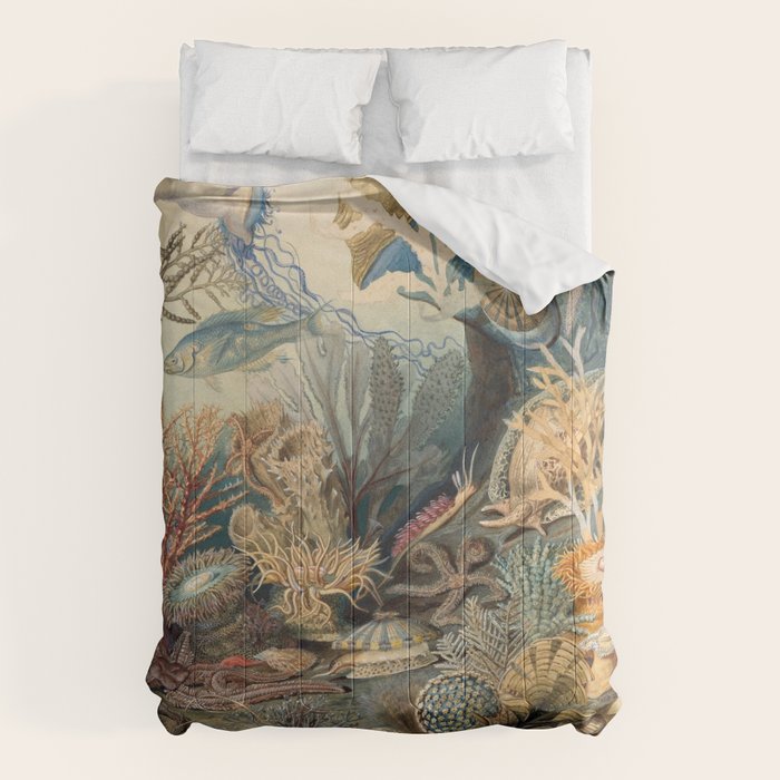 Ocean Life by James M Sommerville 1859 Funky Quirky Cute Cozy Boho Maximalism Maximalist Comforter Gallery Image 1