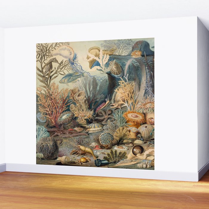 Ocean Life by James M Sommerville 1859 Funky Quirky Cute Cozy Boho Maximalism Maximalist Wall Mural Gallery Image 2