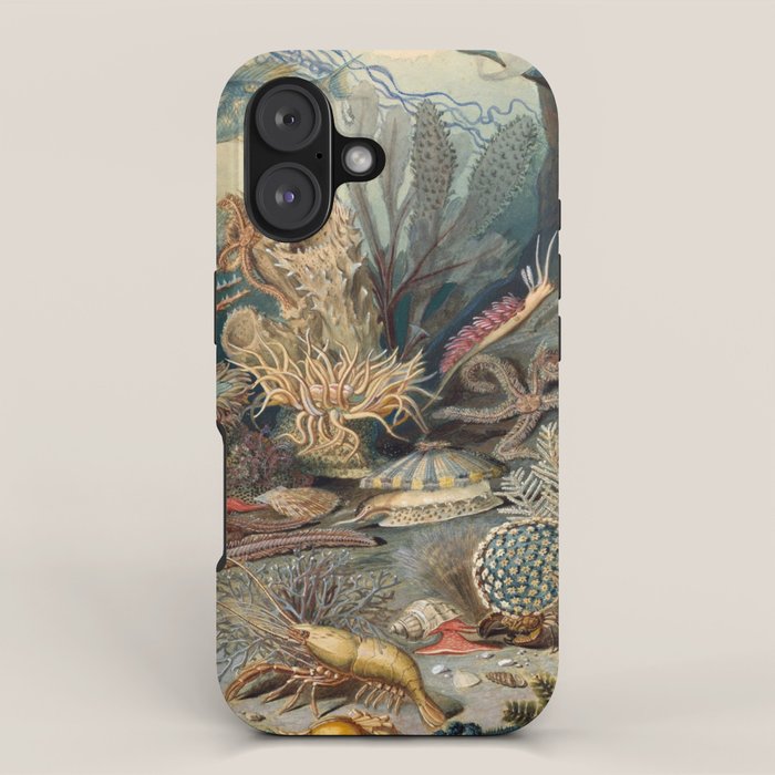 Ocean Life by James M Sommerville 1859 Funky Quirky Cute Cozy Boho Maximalism Maximalist iPhone Case Gallery Image 1