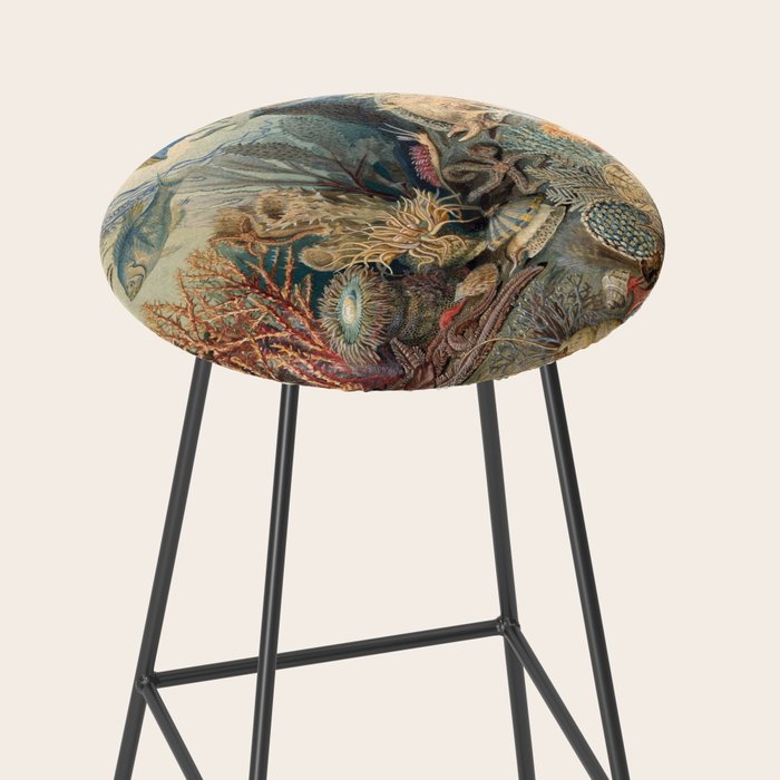 Ocean Life by James M Sommerville 1859 Funky Quirky Cute Cozy Boho Maximalism Maximalist Stool Gallery Image 2