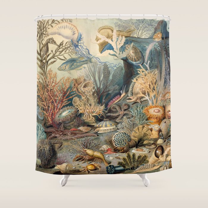 Ocean Life by James M Sommerville 1859 Funky Quirky Cute Cozy Boho Maximalism Maximalist Shower Curtain Gallery Image 1