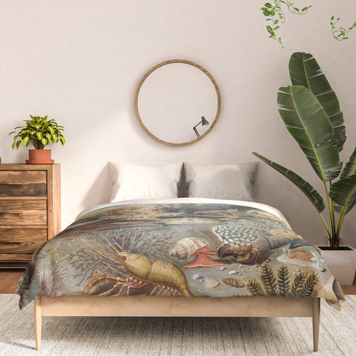 Ocean Life by James M Sommerville 1859 Funky Quirky Cute Cozy Boho Maximalism Maximalist Comforter Gallery Image 3