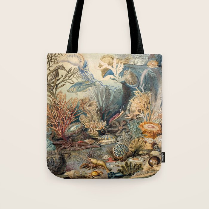 Ocean Life by James M Sommerville 1859 Funky Quirky Cute Cozy Boho Maximalism Maximalist Tote Bag Gallery Image 1