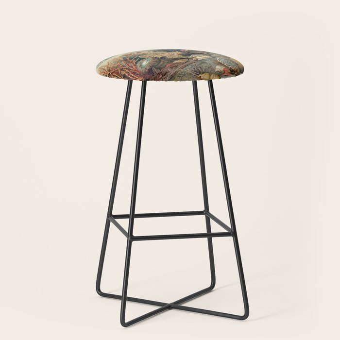 Ocean Life by James M Sommerville 1859 Funky Quirky Cute Cozy Boho Maximalism Maximalist Stool Gallery Image 1