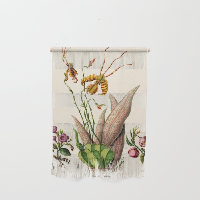 Butterfly orchid from "Flore dâAmÃ©rique" by Ãtienne Denisse, 1840s Wall Hanging Gallery Image 1