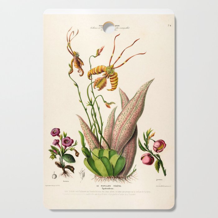 Butterfly orchid from "Flore dâAmÃ©rique" by Ãtienne Denisse, 1840s Cutting Board Gallery Image 1