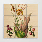 Butterfly orchid from "Flore dâAmÃ©rique" by Ãtienne Denisse, 1840s Wood Wall Art Gallery Image 1