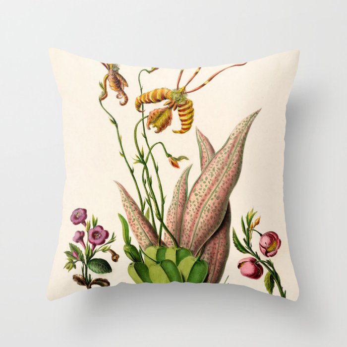 Butterfly orchid from "Flore dâAmÃ©rique" by Ãtienne Denisse, 1840s Throw Pillow Gallery Image 1