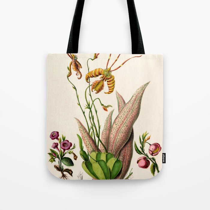 Butterfly orchid from "Flore dâAmÃ©rique" by Ãtienne Denisse, 1840s Tote Bag Gallery Image 1