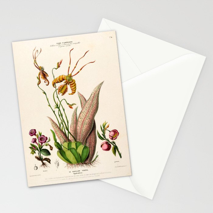Butterfly orchid from "Flore dâAmÃ©rique" by Ãtienne Denisse, 1840s Stationery Card Gallery Image 2