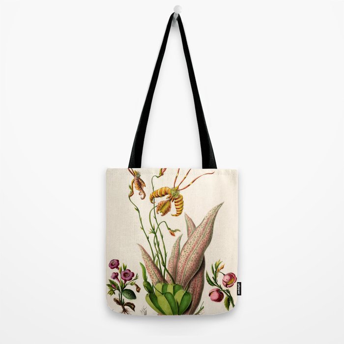 Butterfly orchid from "Flore dâAmÃ©rique" by Ãtienne Denisse, 1840s Tote Bag Gallery Image 2